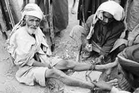 حمد الشيباني tweet media