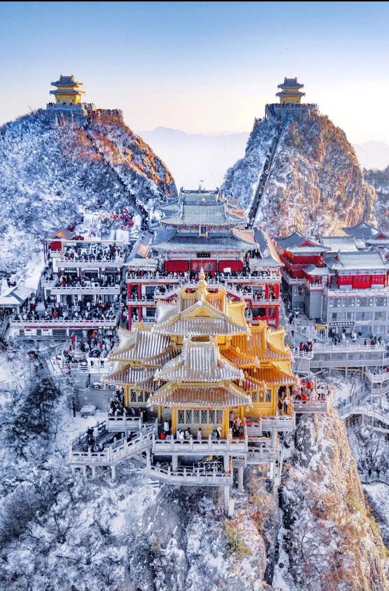 军师•LEE tweet media