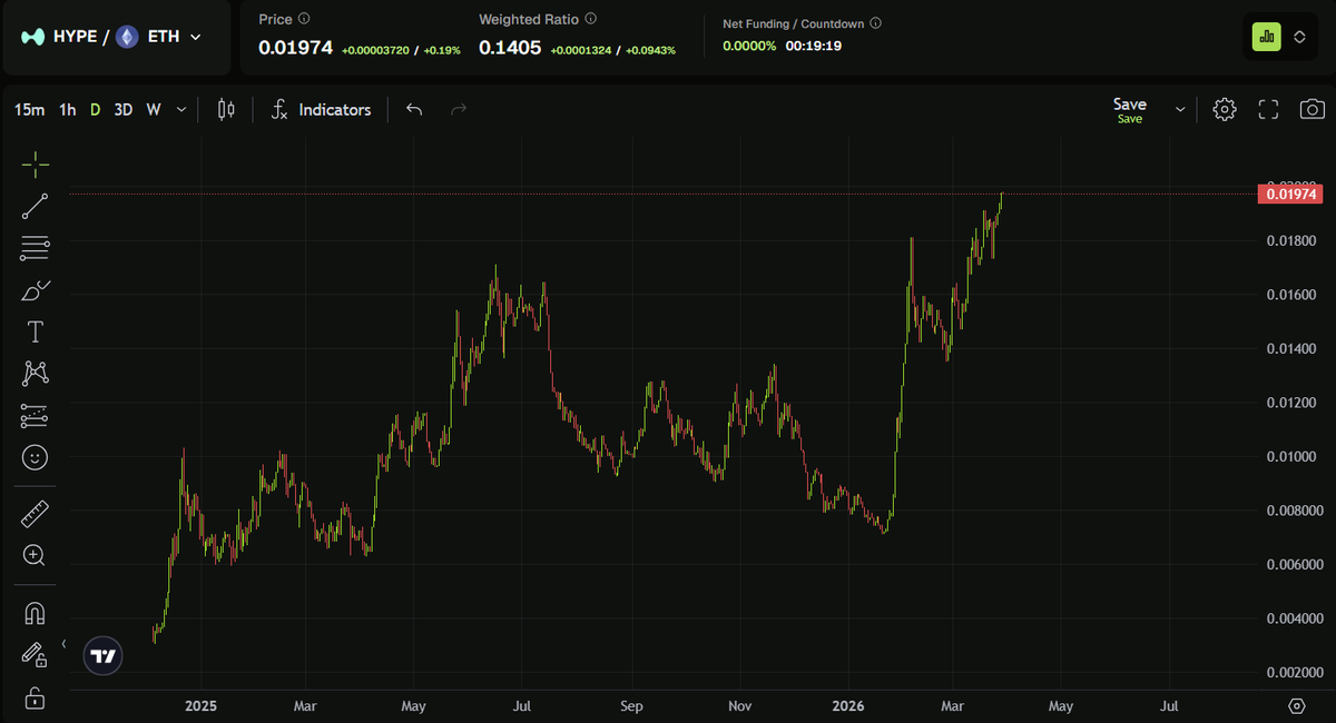 Vikingo.hl tweet media