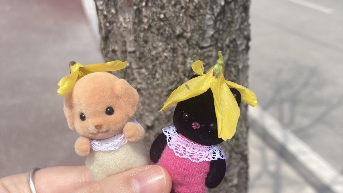 레몬나르고빚갚으리오 (@lemon_ws) on Twitter photo 