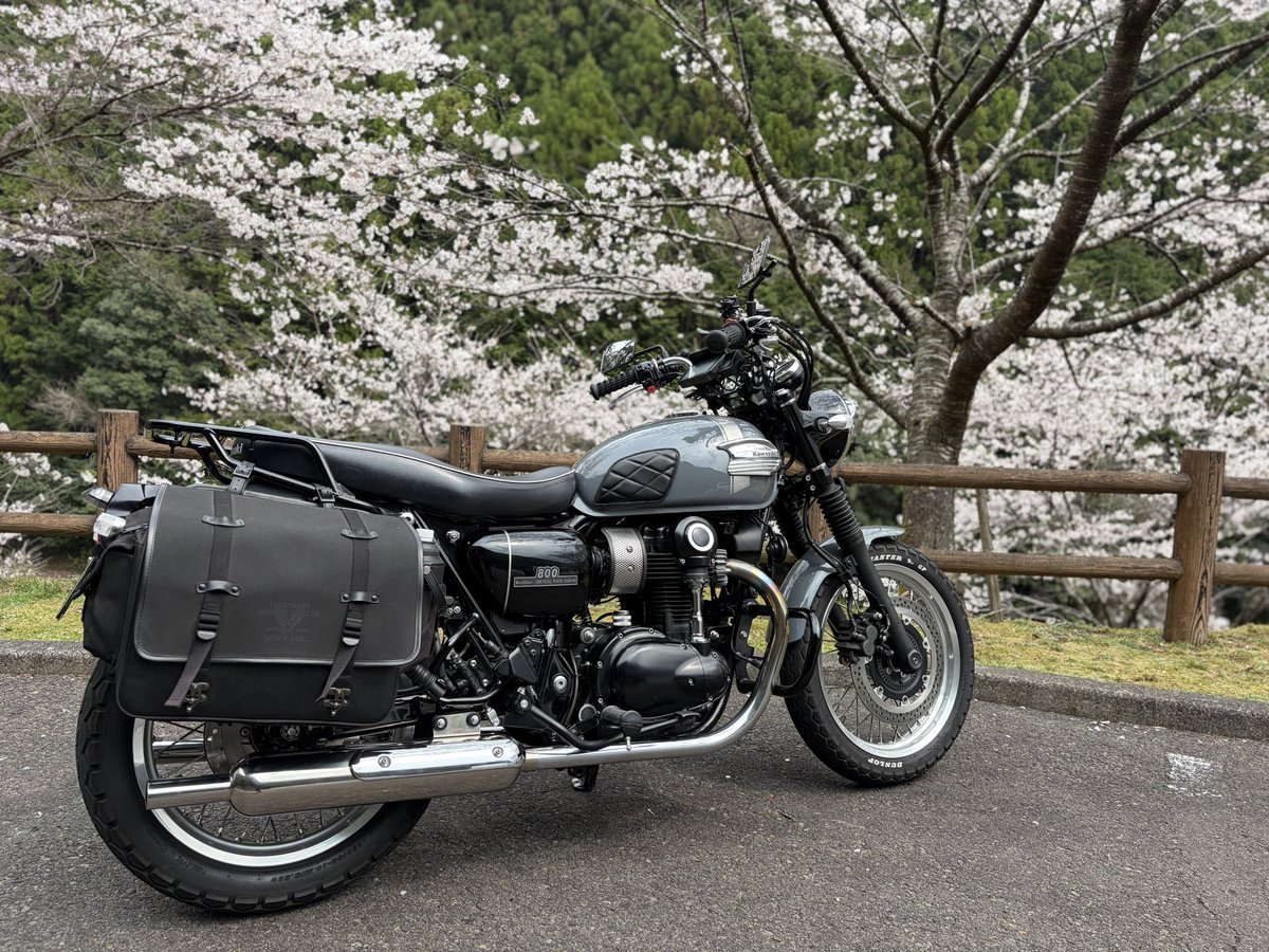 SlowLifeAndRide's tweet photo. 今日は、満を持してお花見ツーリング🌸😊
有名どころは人だらけで落ち着かないので、こっそり穴場でまったりしました😉
そして帰りは、安定の土砂降り🫨
寄り道せずに帰ってお風呂へ直行しました😅
暖かくても濡れると極寒でした🤧
#w800 #バイク好きと繋がりたい https://t.co/gx5WZHMGE7