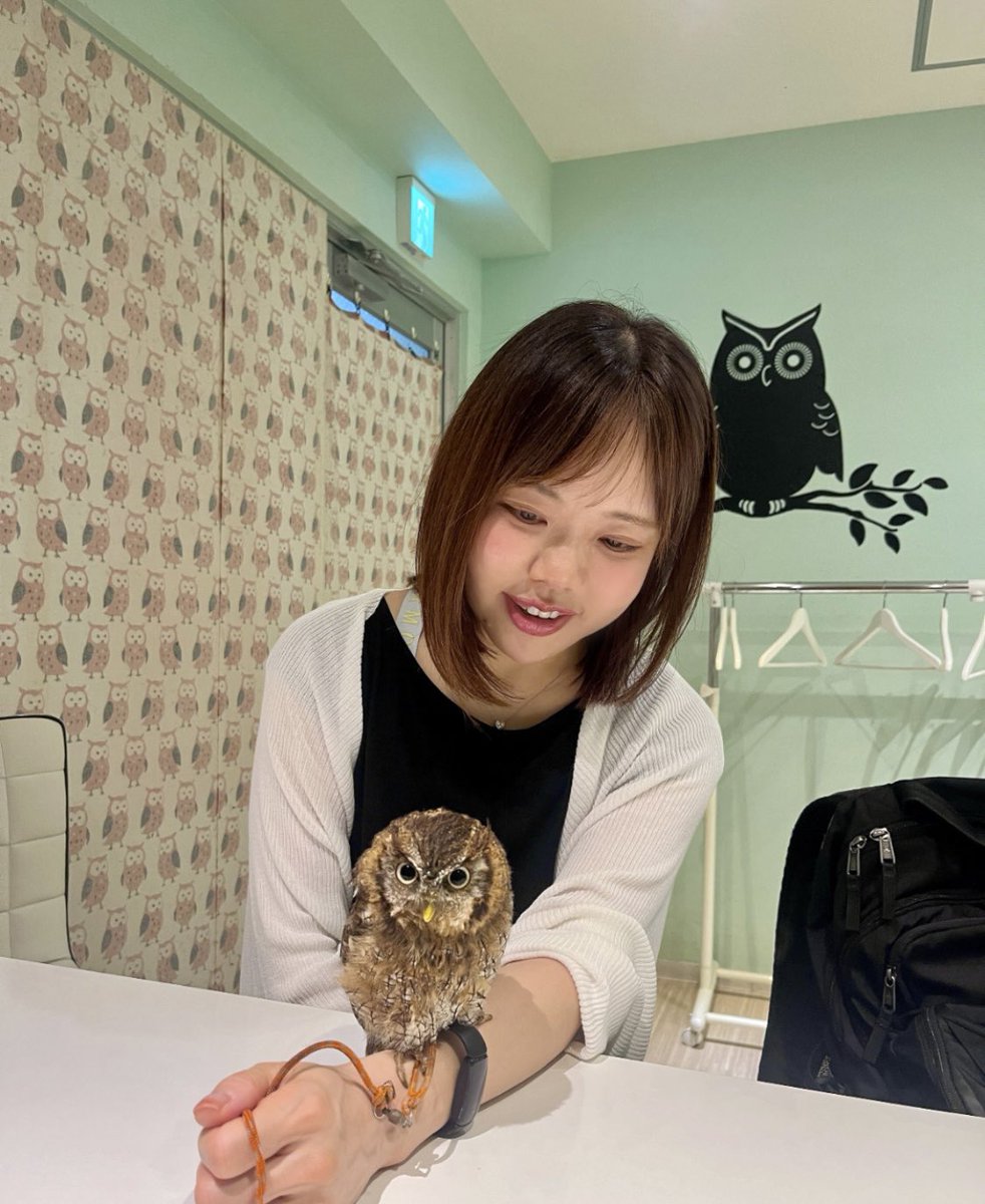 リサリサフルーツミックス tweet media