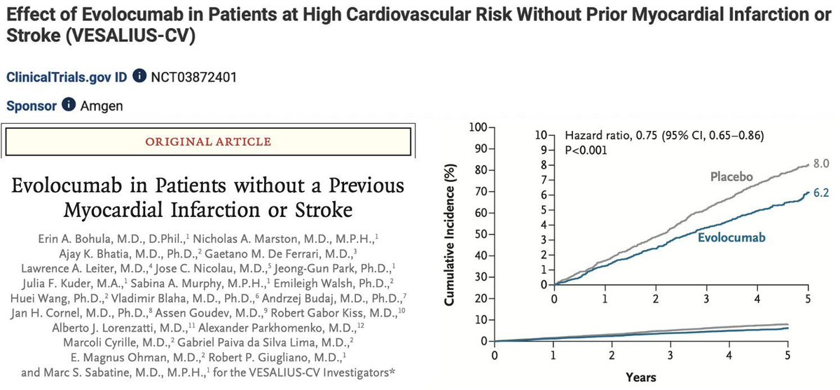 Architect Neo tweet media