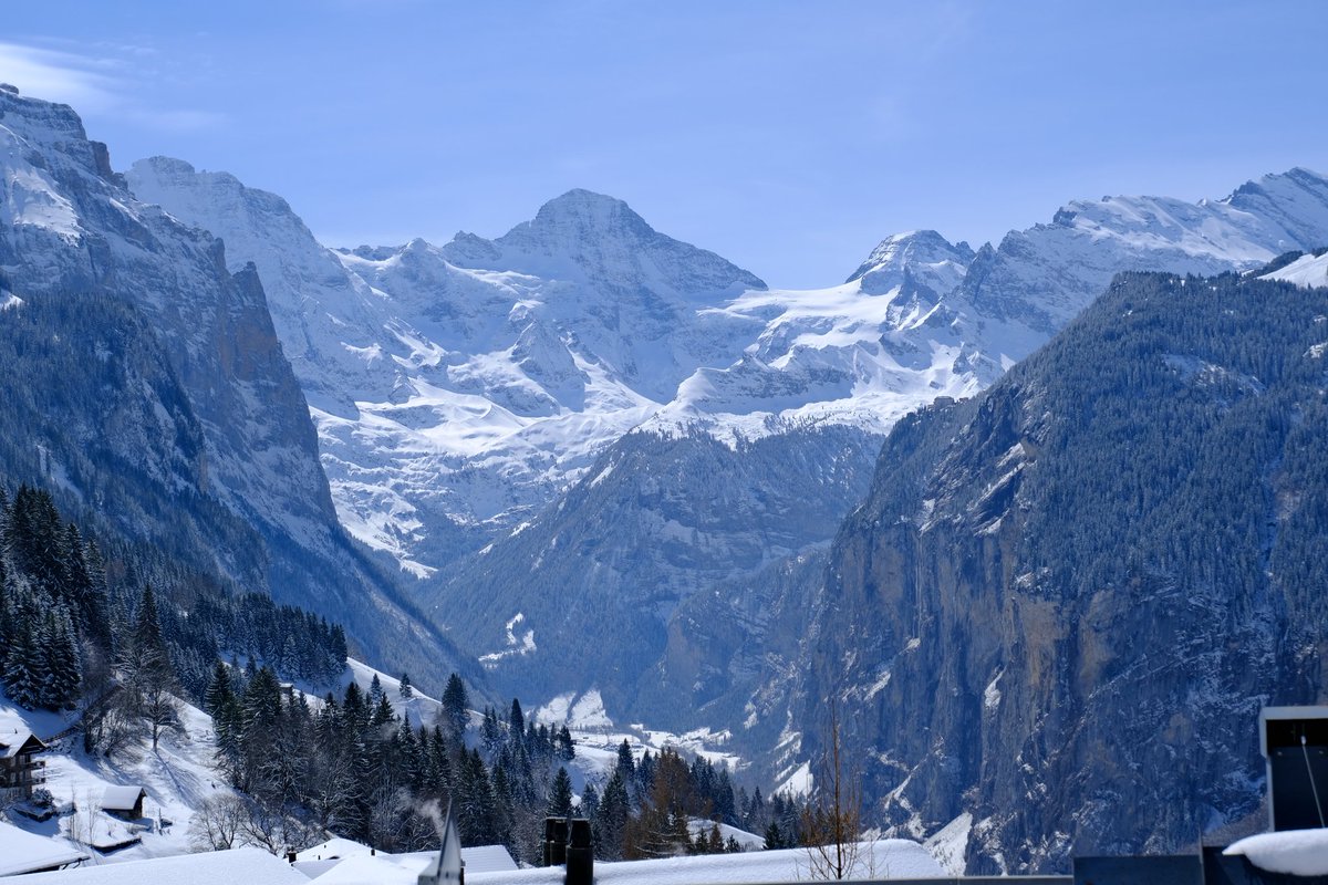 пани кринжулька tweet media