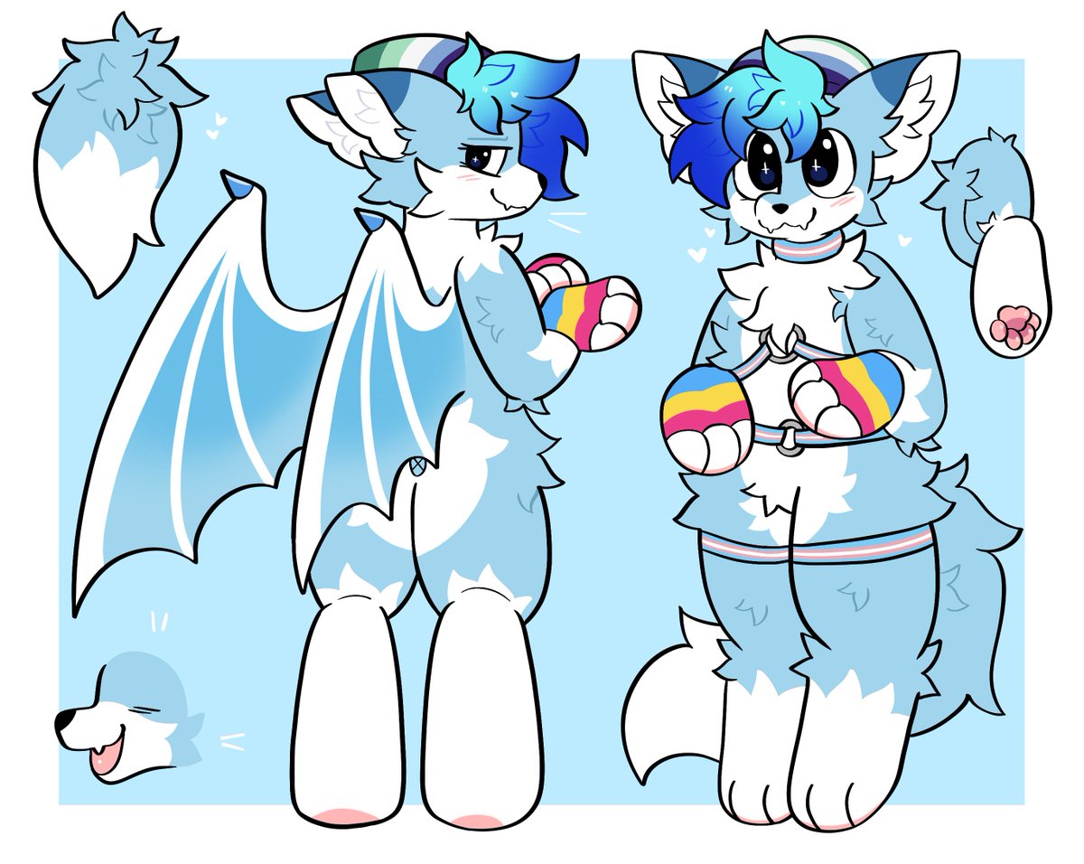 ref sheet for arkofoxo 💙🦊🌈✨