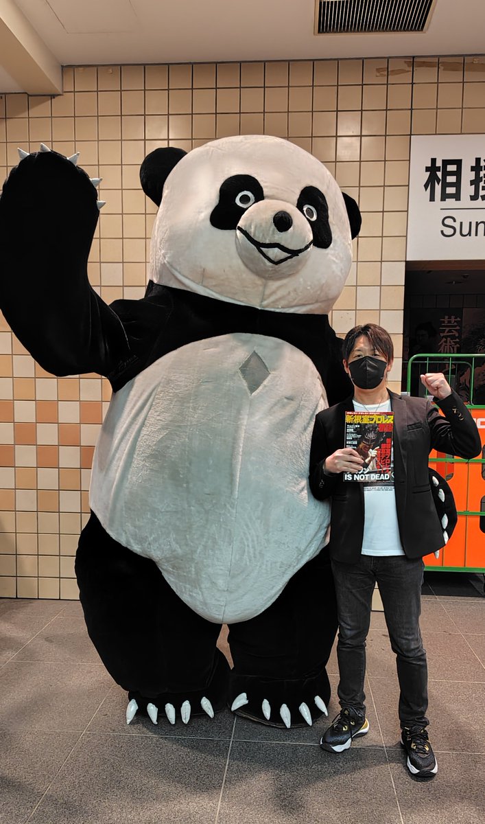 shin126lp's tweet photo. 2026.3.29 東京女子両国国技館
約2年半ぶりにアンドレザと🐼✨
少し小さくなったように見えるのは気のせいか…。
#アンドレザ・ジャイアントパンダ
#N2W #新根室プロレス #2shot
#tjpw #tjpwGP26 https://t.co/CXh9CFSUKS