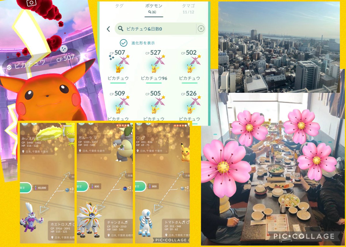 ポケ🫧 tweet media