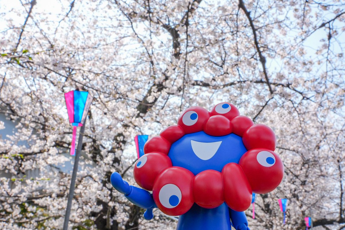 すえきち tweet media