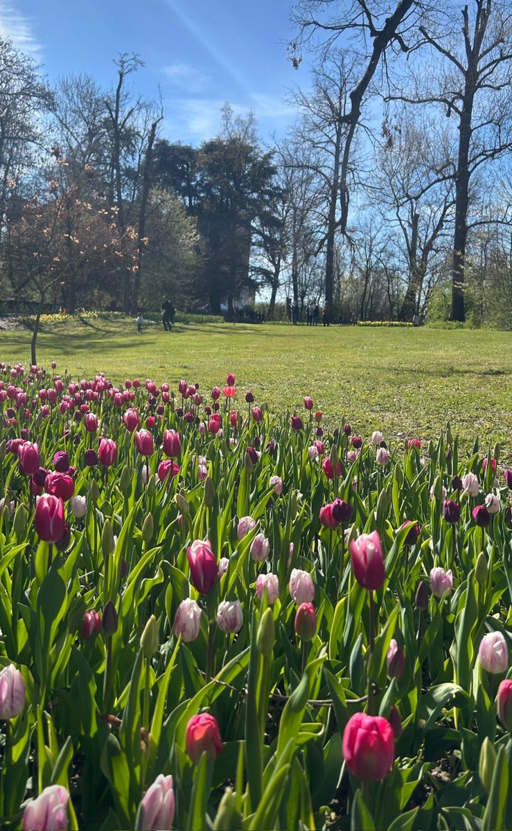 Monica 🍀⚘️🌍📚🐞🎧 tweet media