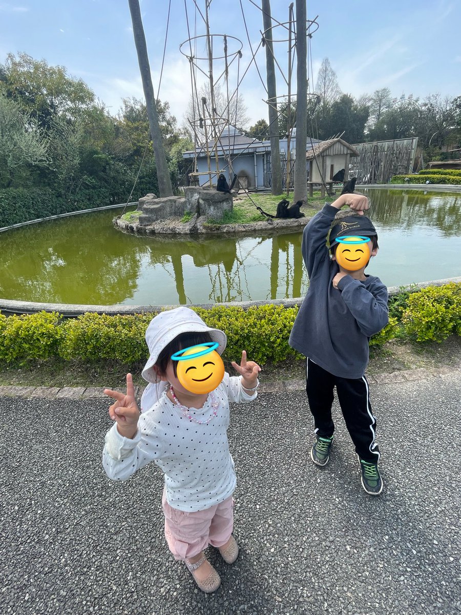 とみしょ tweet media