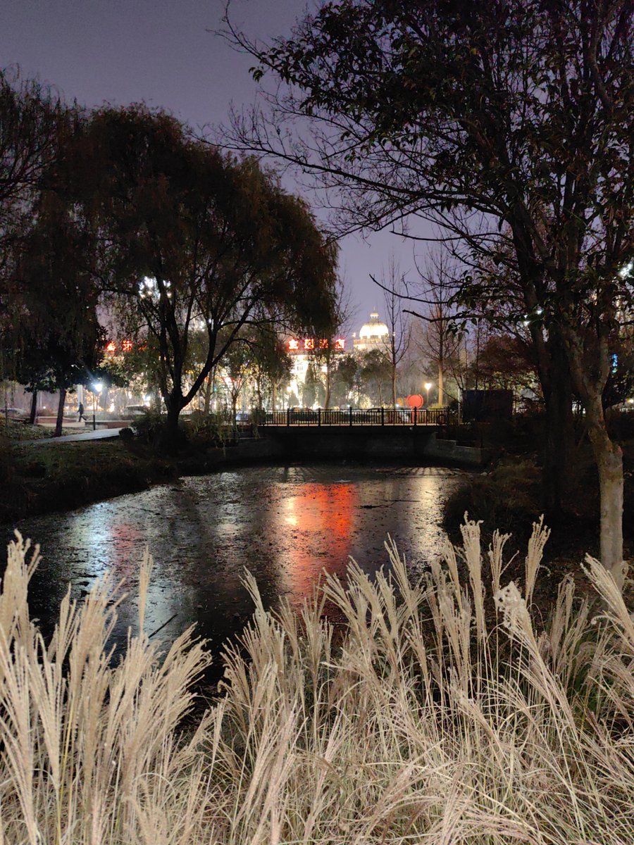 Jelymar Bautista tweet media