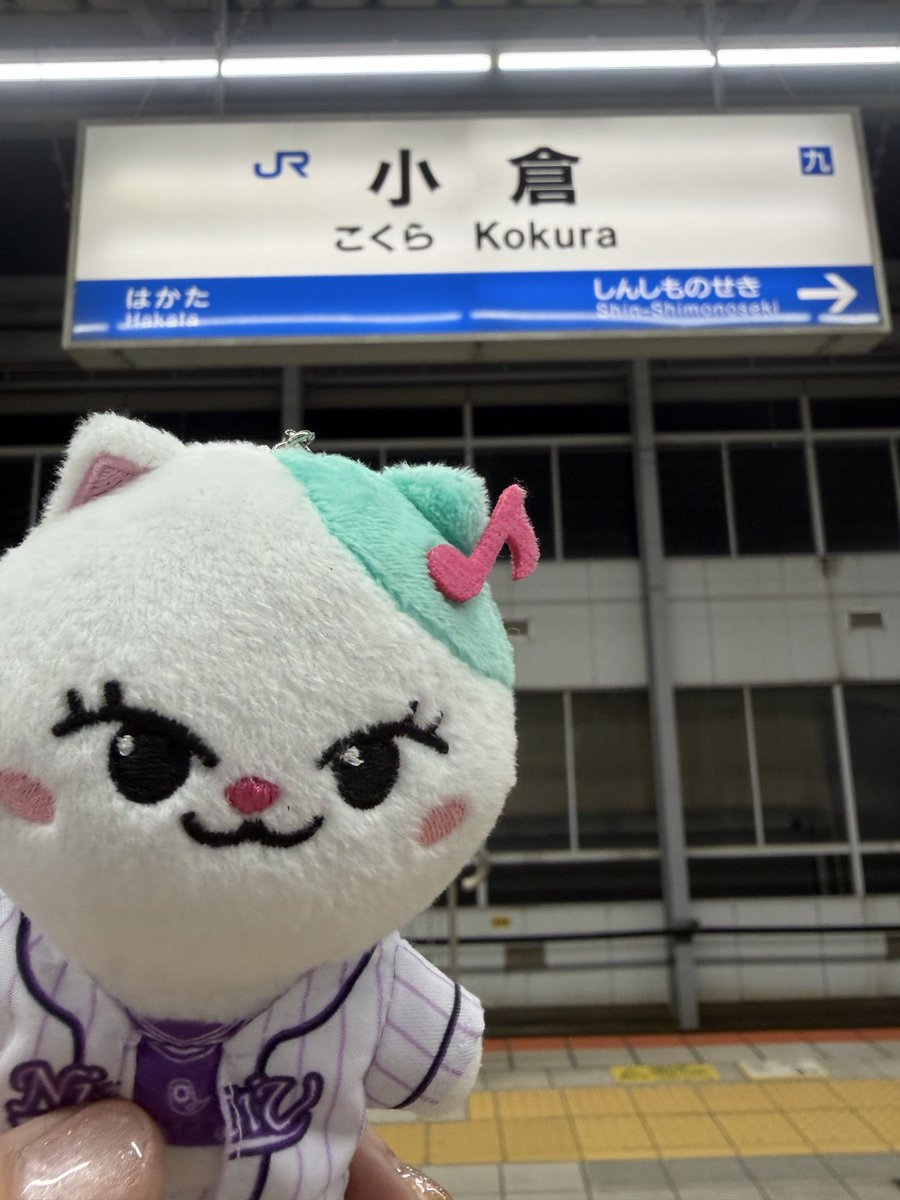 かみてぃ tweet media