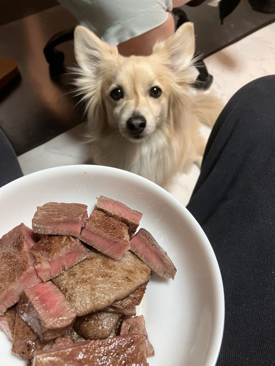 太郎　チーズ　キッフェル　レーチェ tweet media