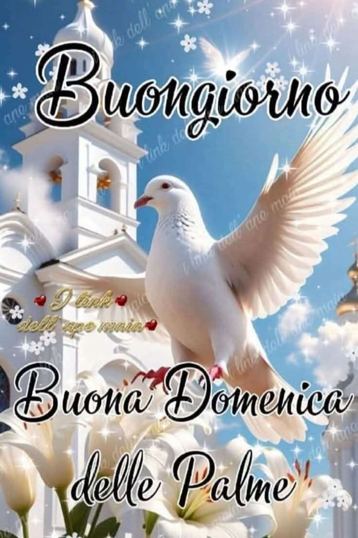 <a href="/ClimaSole/">⛵Luca⛵</a>