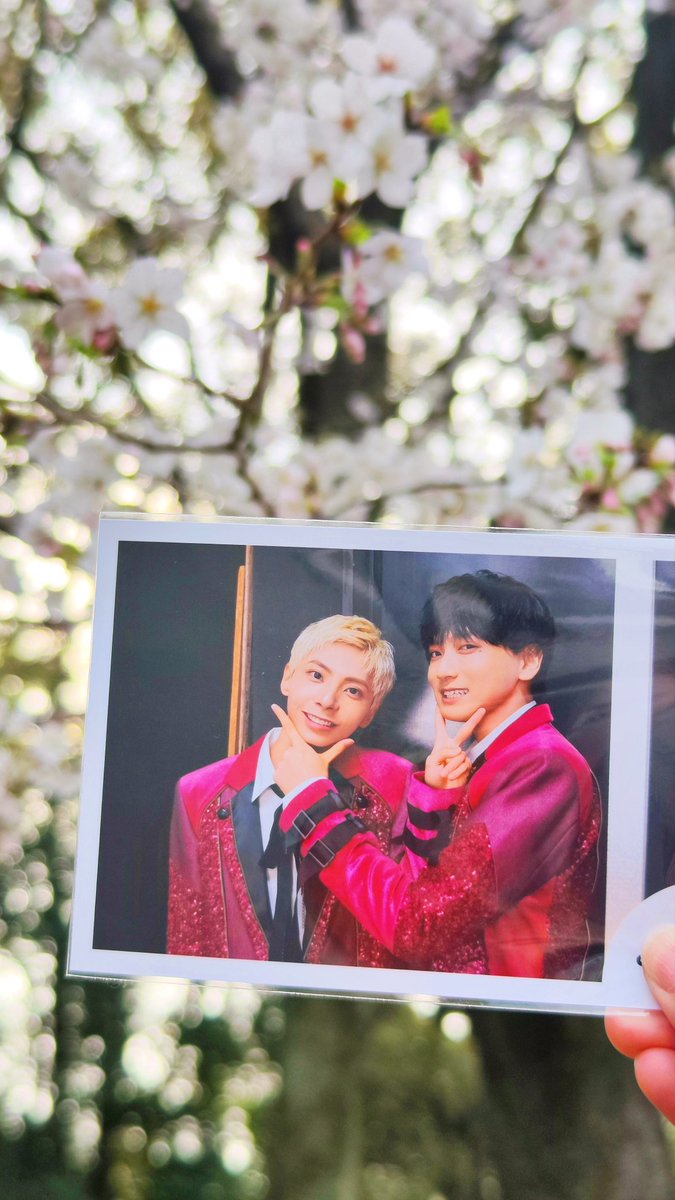 i_19_q's tweet photo. #悪の花 惹き込まれ、呼吸するのも忘れそうな張りつめた2時間でした…植物人間状態から目覚めた時のゆっくりとした起き上がり方、ロシアンルーレットの興奮で血走った目とうわずった声、ヒョンスと形勢逆転した後の腰抜け具合、どのヒソンも狂気じみてて最高…役者 #和田優希 、天晴でした🌸！ https://t.co/3pVjHCc7Hi