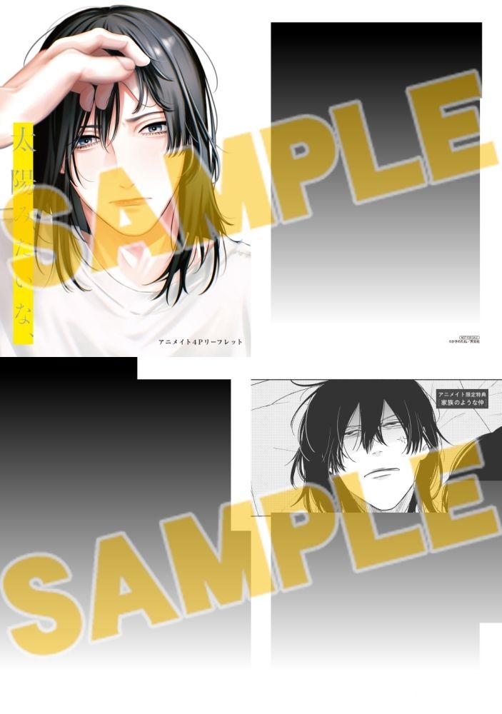 太陽みたいな、(1) 書籍 アニメイトセット