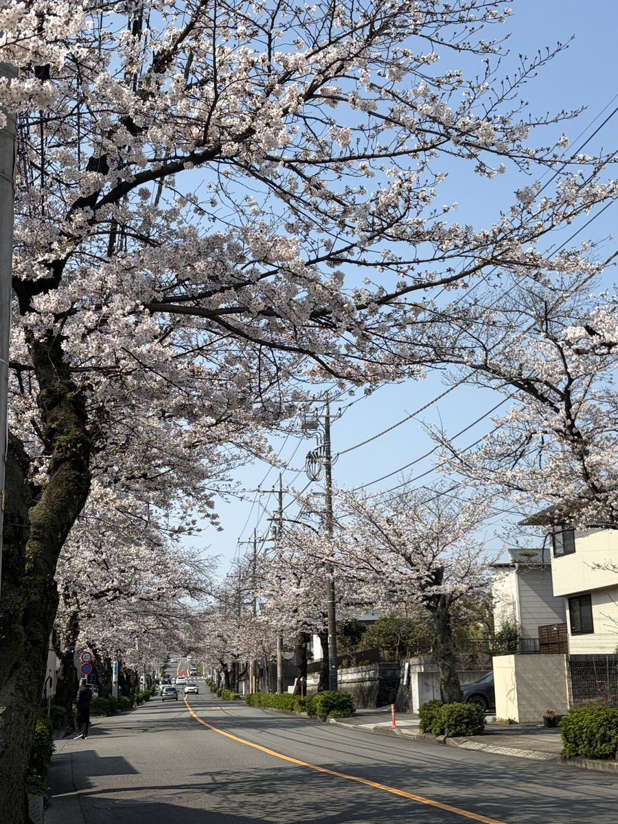 からちゅーの町田放浪記 tweet media