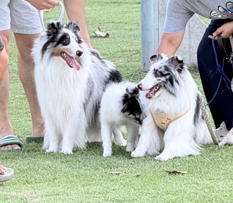 คุนหนูเจเนทเจอพี่อิชิน่ารักกกกกกก🐶♥️♥️♥️