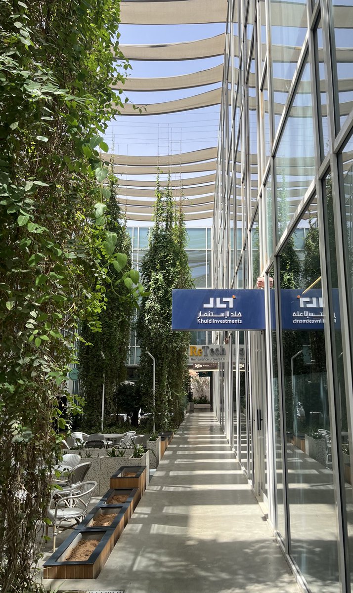 Fatimah Al-shurfa tweet media