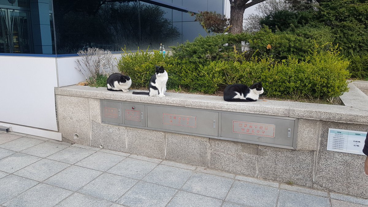 진하(박수연) tweet media