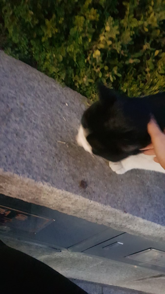 진하(박수연) tweet media