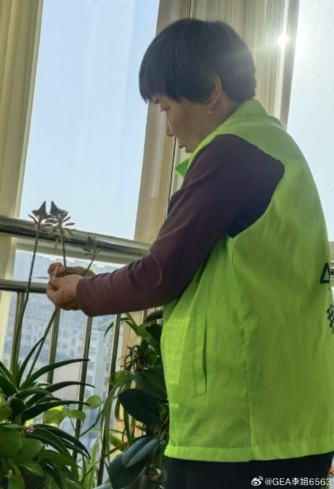 Ruth Wester tweet media