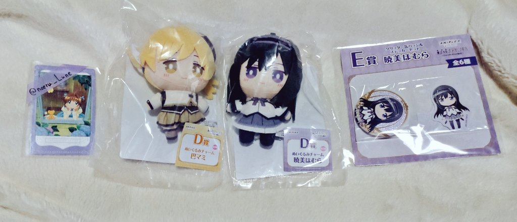 のえる@プロカ必読 tweet media