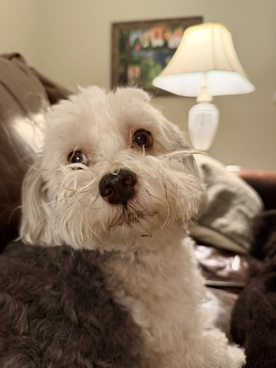 Jason Albert tweet media