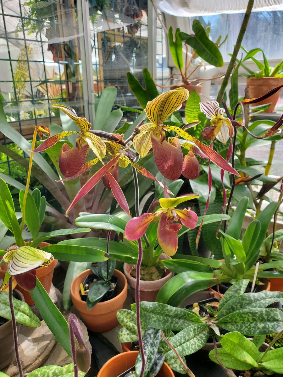 JScottStan tweet media