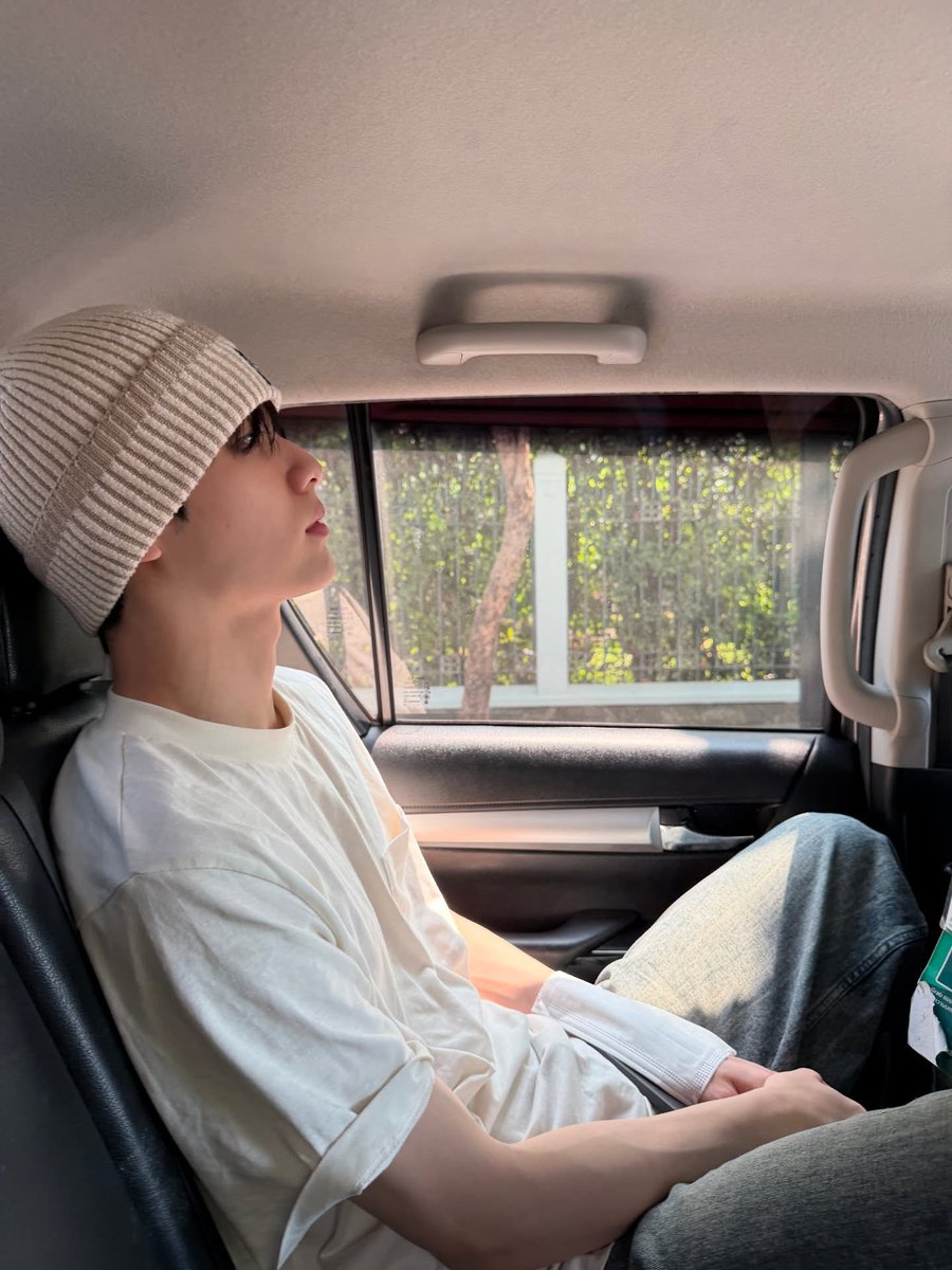 ⭒MOAPHILES⋆𐙚 ̊. tweet media