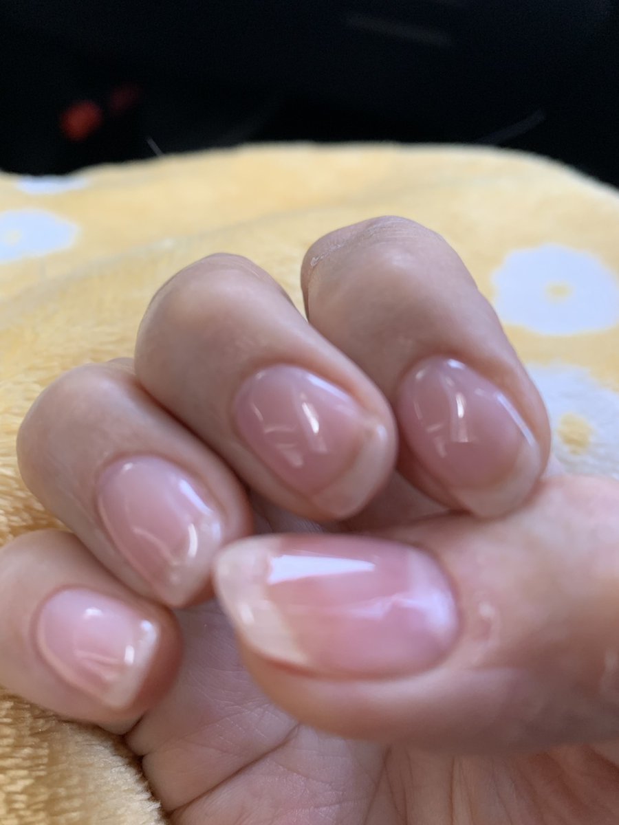 杏花・雪解けの空に tweet media