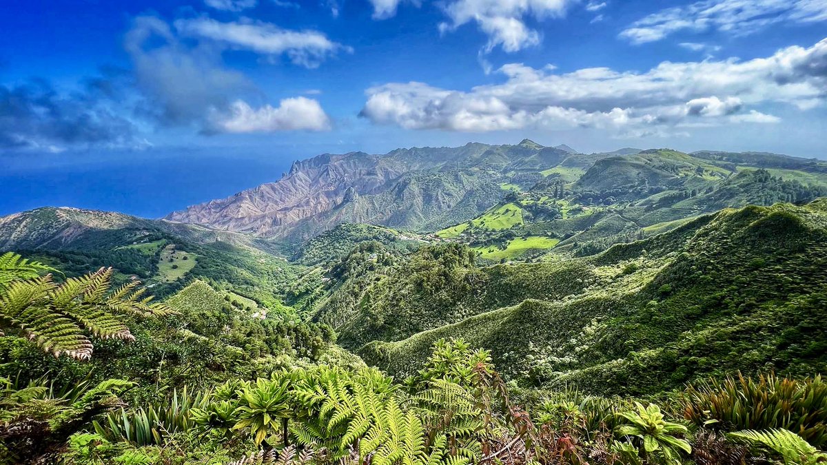 ХеллсинГусь tweet media