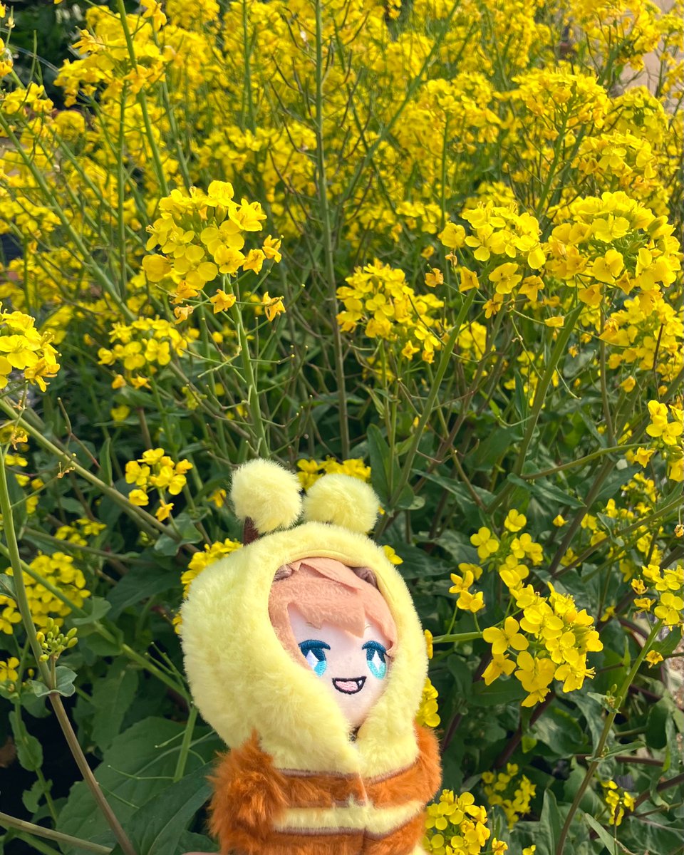 もじゃ氏 tweet media