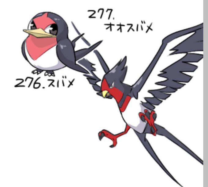 スバメとオオスバメを描きました。オオスバメと言えば根性! 