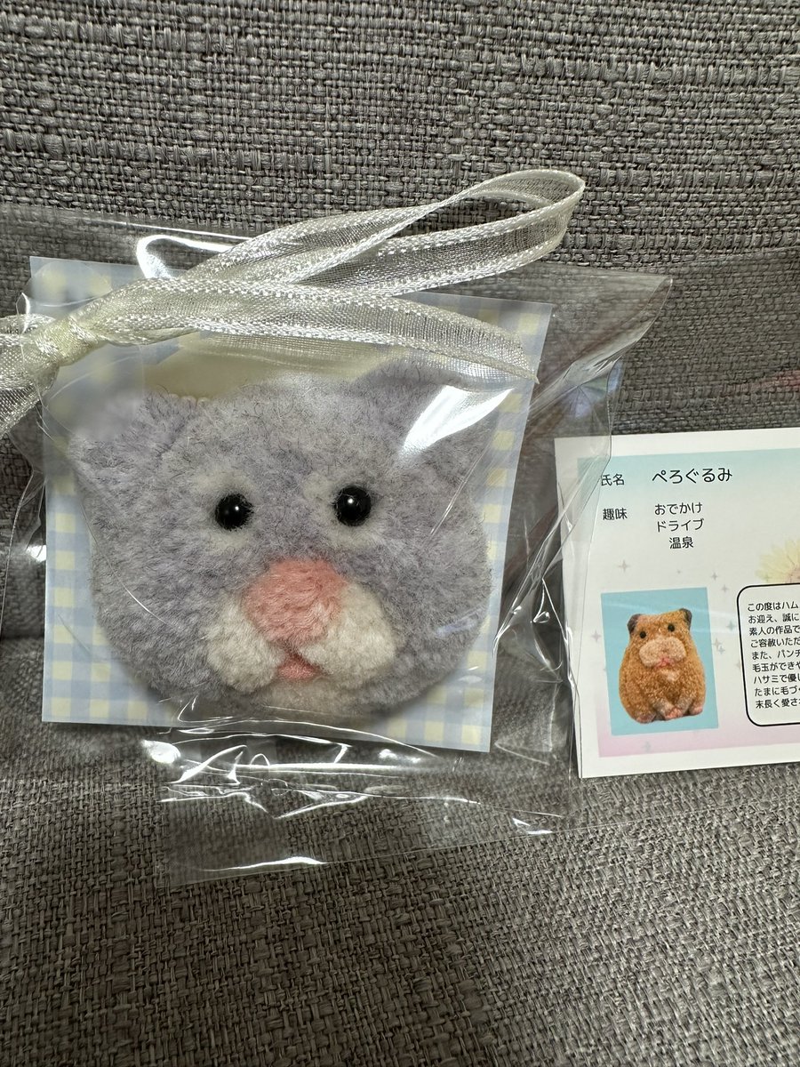 kot🐹 tweet media