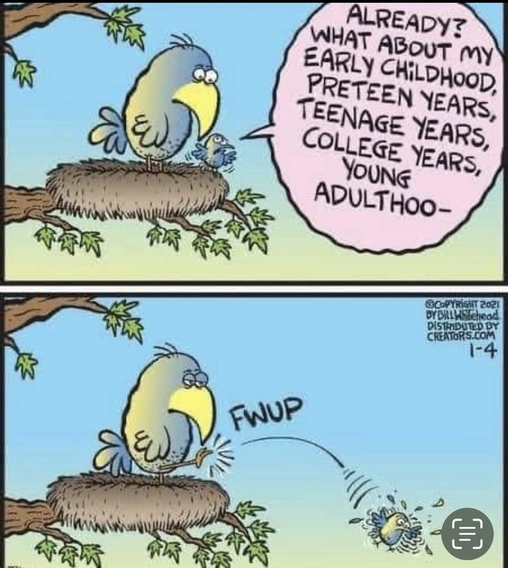 Katarina Krusidull ll 🍄 tweet media