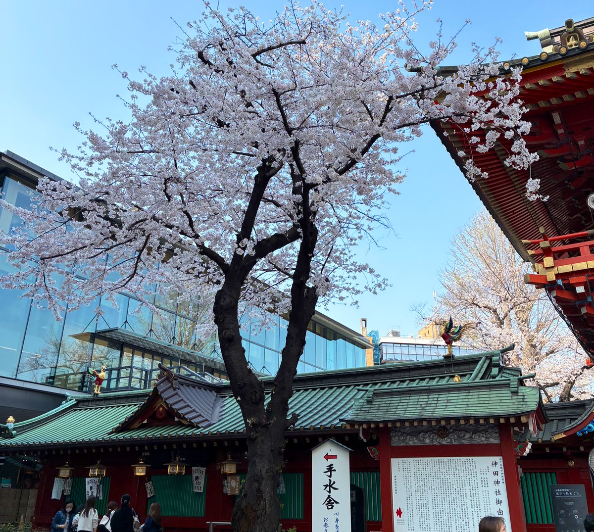 ニャル子雑垢(VAPE垢だったような) tweet media