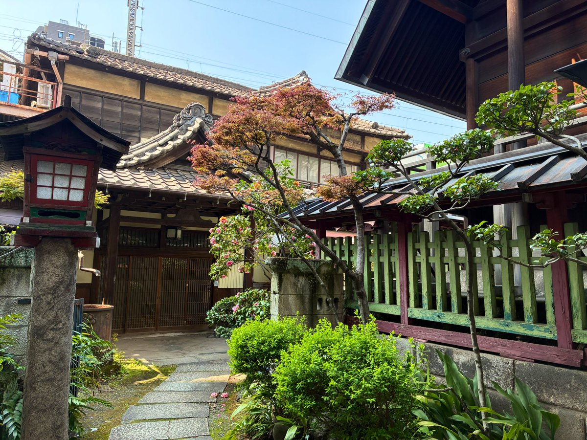 ニャル子雑垢(VAPE垢だったような) tweet media