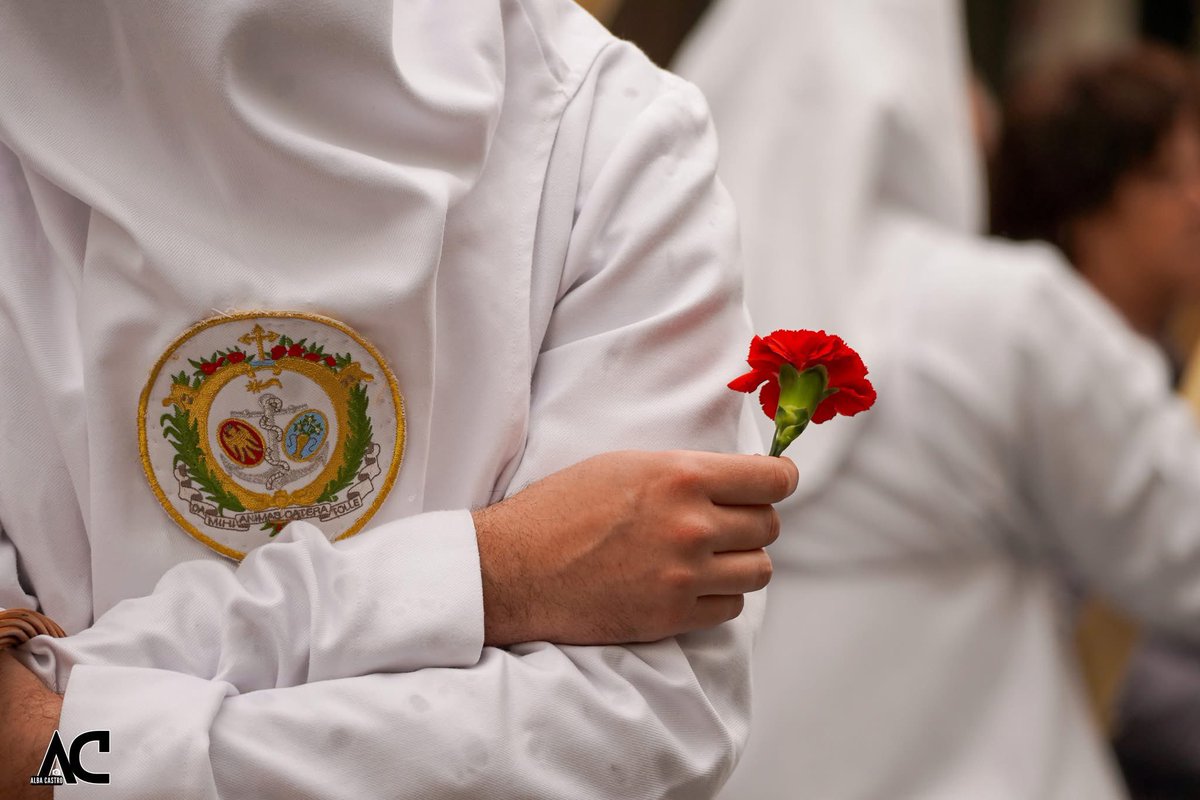 Cofrade Gaditano tweet media