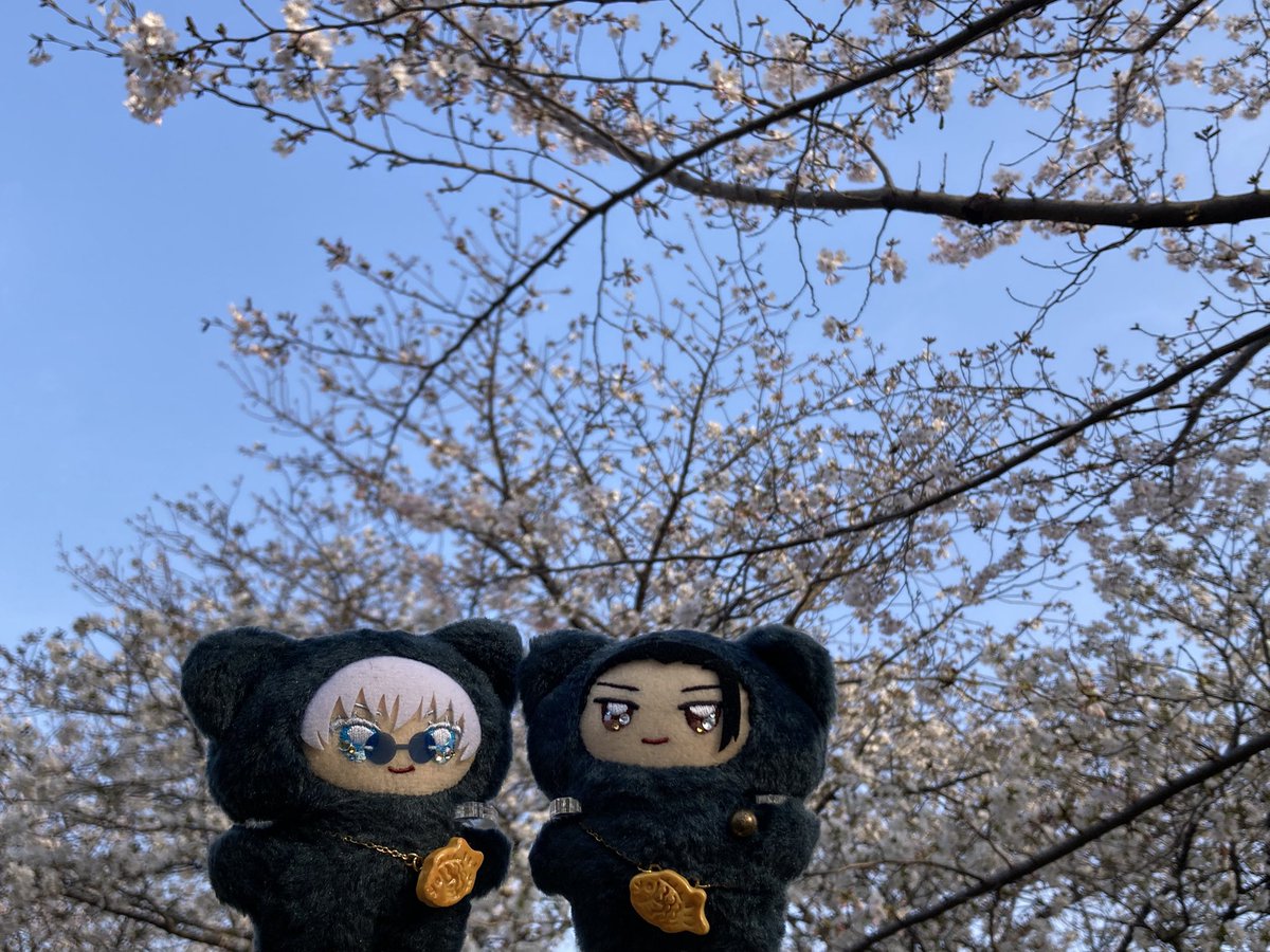 もんちぃ ( じゅじゅ ) tweet media