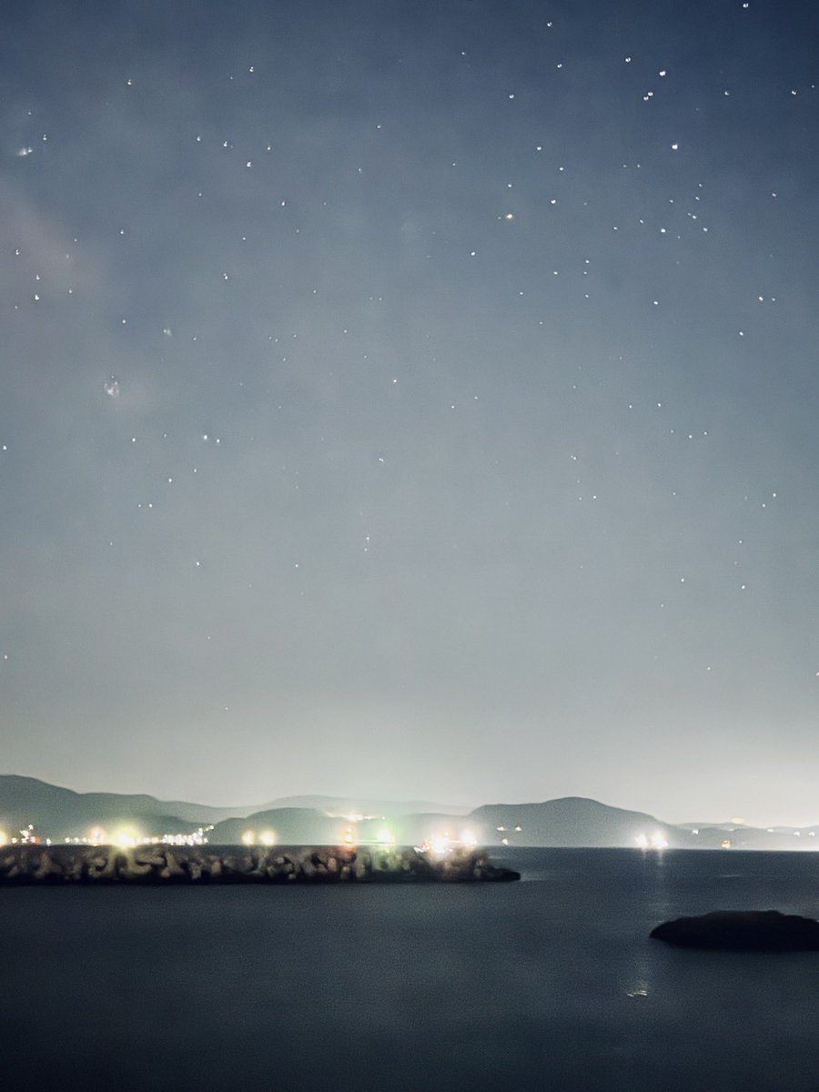 ぺんぎんA0 tweet media