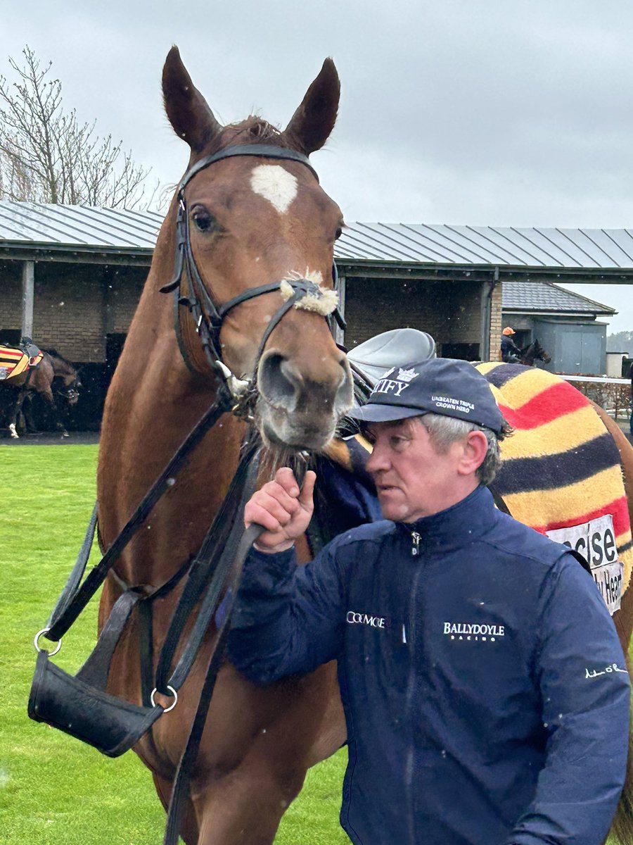 Dawn Leadon-Bolger tweet media