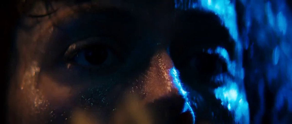 the cinema fella tweet media