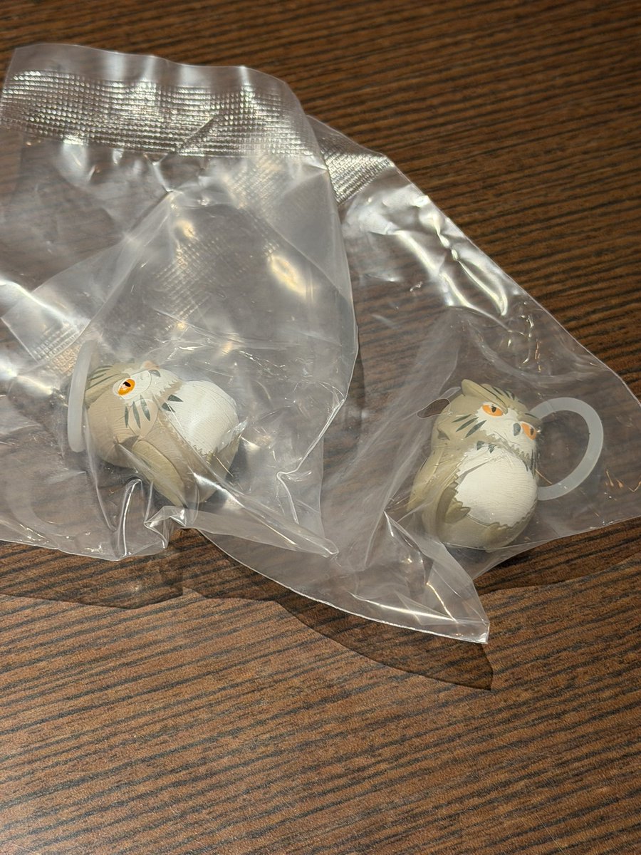 かん。 tweet media