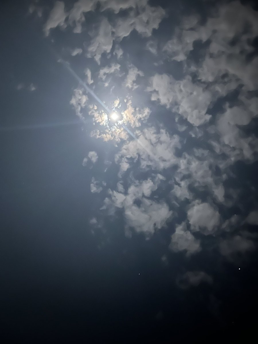 ルーチェ tweet media