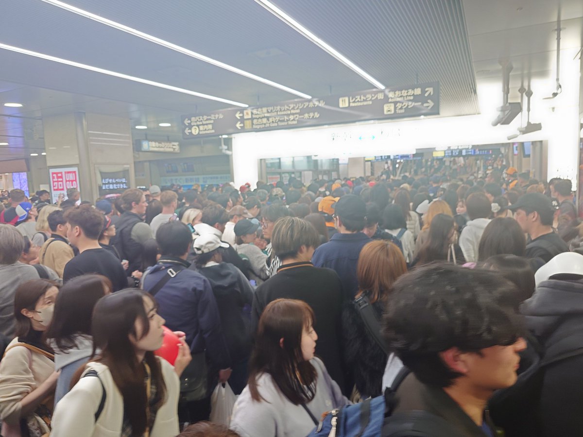 ばび彦 tweet media