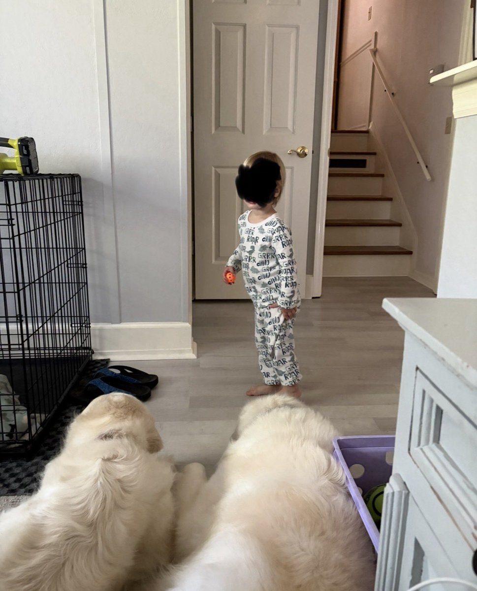 DK🇺🇸🦅🇺🇸 tweet media