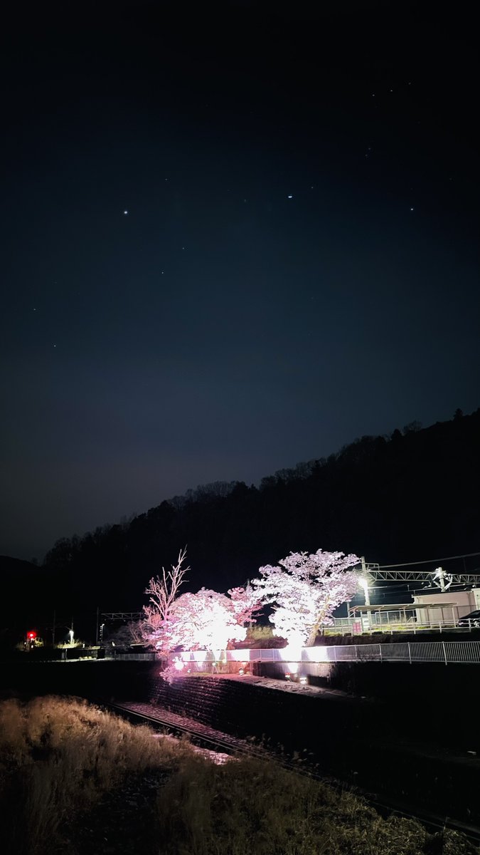 ▷ま◁ tweet media