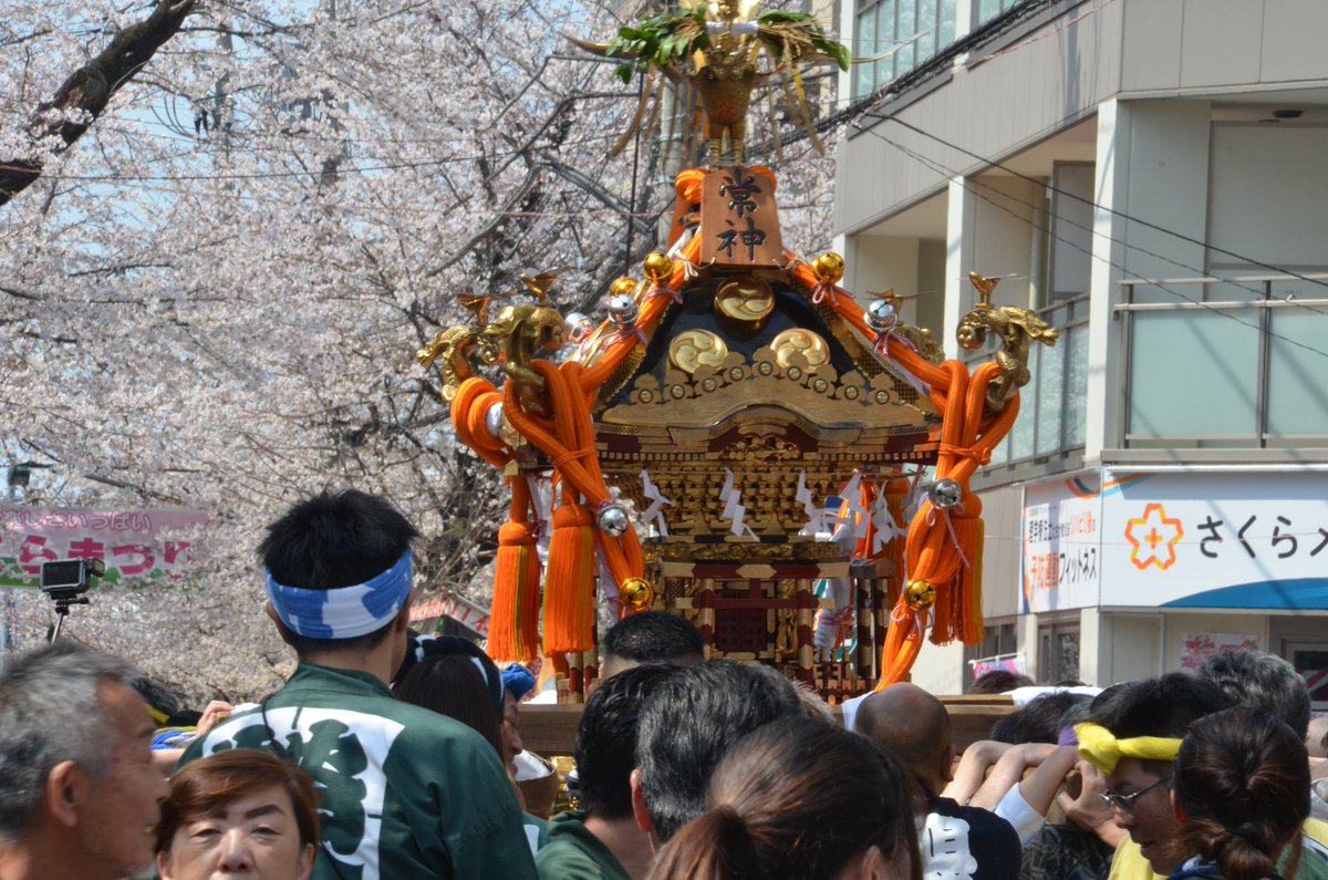 kanapapa7's tweet photo. 第52回常盤平さくらまつり
2日目　東京オリンピック金メダルの　レスリング須崎優衣選手
1日警察署長で交通安全PR
笑顔が素敵な方ですね山車に先導され　お神輿パレードでスタート
五香付近でマツドセレージャさんのサンバパレード　満開の桜の下
大盛り上がりでした https://t.co/6mpeNYeeNr