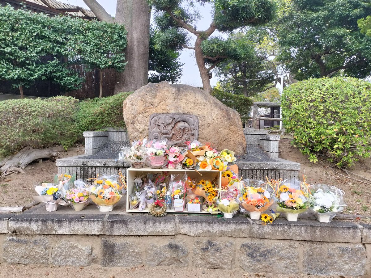 kichirobi tweet media